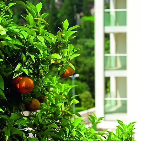 Luxury - L'orangerie * דוברובניק